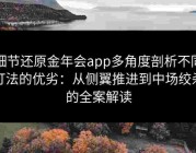 细节还原金年会app多角度剖析不同打法的优劣：从侧翼推进到中场绞杀的全案解读