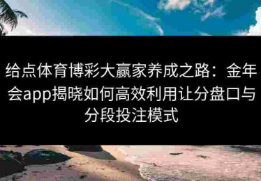 给点体育博彩大赢家养成之路：金年会app揭晓如何高效利用让分盘口与分段投注模式