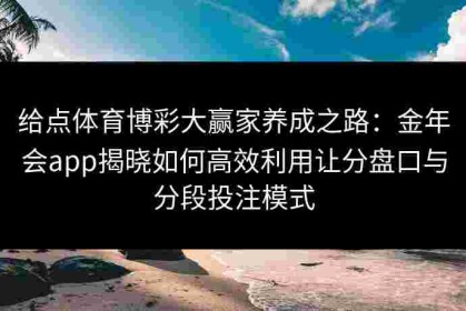 给点体育博彩大赢家养成之路：金年会app揭晓如何高效利用让分盘口与分段投注模式