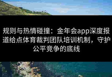规则与热情碰撞：金年会app深度报道给点体育裁判团队培训机制，守护公平竞争的底线