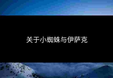 关于小蜘蛛与伊萨克