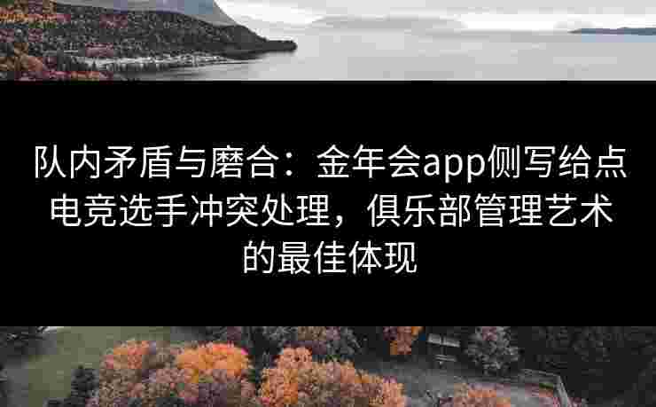 队内矛盾与磨合：金年会app侧写给点电竞选手冲突处理，俱乐部管理艺术的最佳体现